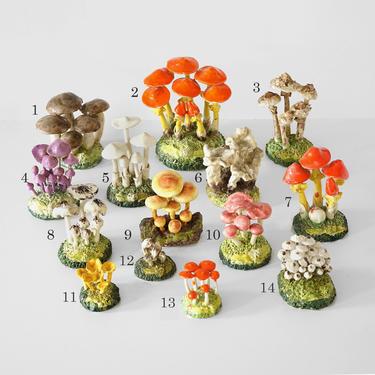 maria maravigna mushroom collection, 14 maravigna mushrooms, mushroom art, maravigna mushroom lot, vintage mushroom art, maria maravigna 