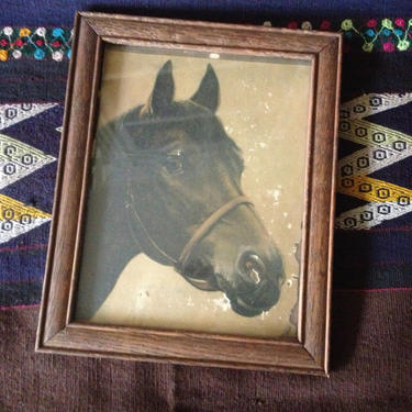 Vintage Wood Framed Horse Picture Print ~ Equestrian Rustic Decor ~ Cabin Cottage Farmhouse 