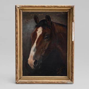 Oil Painting of a Horse