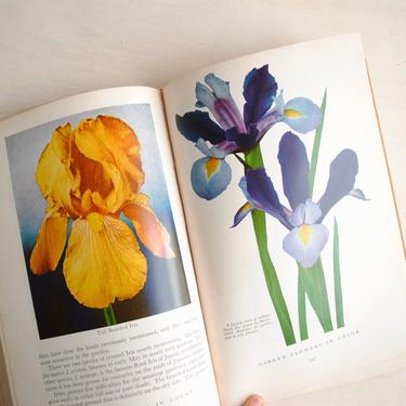 Vintage Garden Flowers in Color Book by Daniel J Foley, 1964 Printing, Color Illustrations Flower Book, Gardening Book 