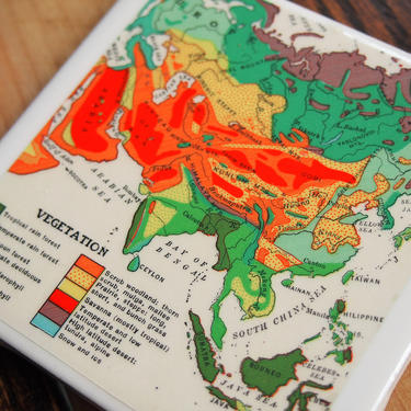 1939 Asia Vegetation Handmade Repurposed Vintage Map Coaster - Ceramic Tile - Repurposed 1930s Goode&#39;s Atlas - Physical Geography 