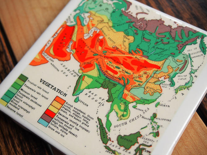 1939 Asia Vegetation Handmade Repurposed Vintage Map Coaster - Ceramic Tile - Repurposed 1930s Goode&amp;#39;s Atlas - Physical Geography 
