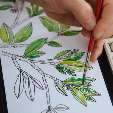 Paint Your Own Plants in Watercolor, A Virtual Workshop- March 21