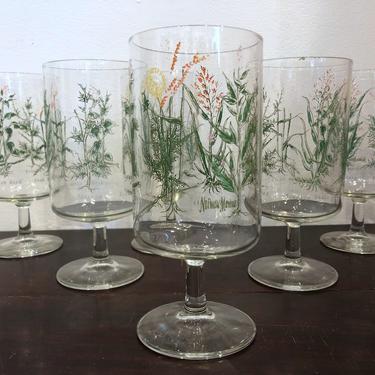 Set of 6, 1970's Neiman Marcus Botanical Glasses