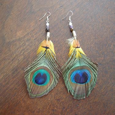 Peacock Feather Earrings