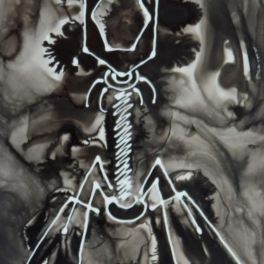 Black Bacteriophage: Ink painting on Yupo (poly paper) Science Art 