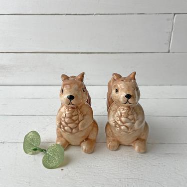 Vintage Squirrel With Acorn Salt And Pepper Shaker, Kitschy, Rustic, Farmhouse, Retro Animal Salt And Pepper Shakes, Housewarming Gift 