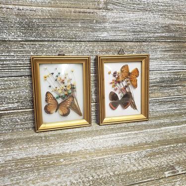 Vintage Framed Butterflies &amp; Dried Flowers, Made in Brazil, Butterfly Taxidermy, Shabby Cottage Decor, Mixed Media, Vintage Wall Hanging 