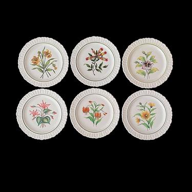 Vintage Mid Century 1950s Italian FINE Set of 6 Ceramic Hand Painted Plates with Botanical Floral Scenes Italy for F.B. 