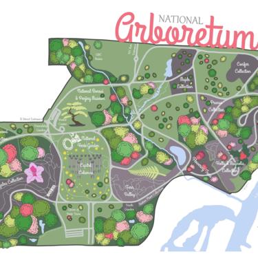 National Arboretum Decorative Map Print, Washington D.C. parks 
