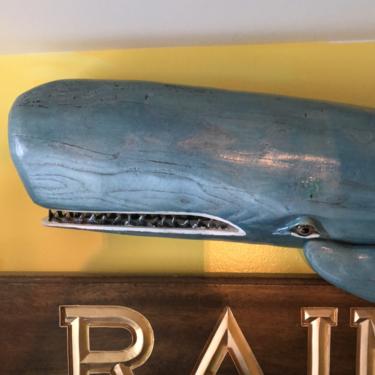 37" Blue Chestnut Sperm Whale, Shark Teeth, Wood Carving