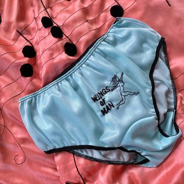 1960s Lingerie / 60s Novelty Embroidered Panties / WINGS OF MAN / Nude Woman / Sheer Cyan Blue Nylon Knickers 