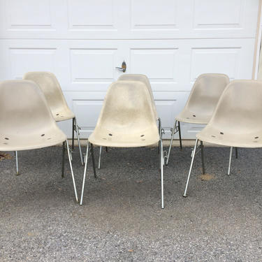Set of 6 Herman Miller Eames Fiberglass side chairs 