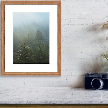 Great Smoky Mountains National Park, Forest Photography, National Park Print, North Carolina Mountains, Woodland Prints, Nature Photography 