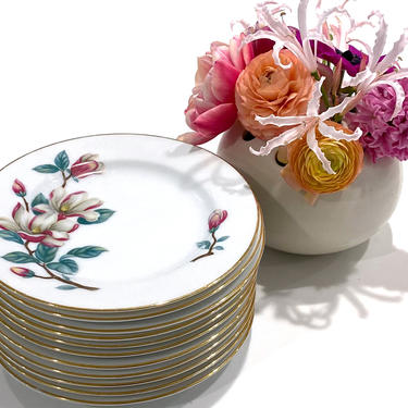 11 Vintage Wentworth Magnolia Pattern Bread and Butter Plates With Pink Flowers and Gold Rims 