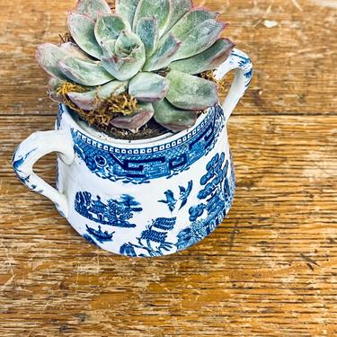 Antique Blue Willow W Ridgeway 1832 Semi China Blue and White Sugar Bowl without lid | Small Blue + White Planter | Small Blue + White Cup 