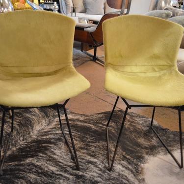 Harry Bertoia for Knoll Shell Chairs Pair Vintage