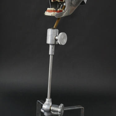 1950's Aluminum Dental Phantom with Articulating Stand