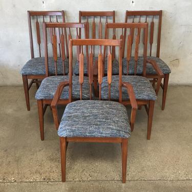 Set of Six Mid Century Walnut Dining Chairs