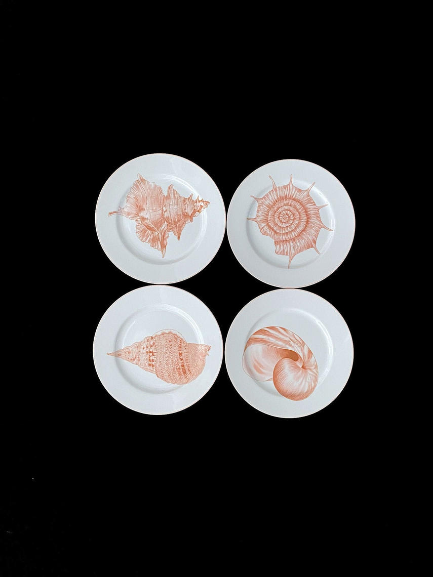 Vintage 1970s Modern Conch Seashell Shell Theme COQUILLE Luncheon Plates Lot of 4 Fitz and Floyd  Fine Porcelain 7.5 Diameter Japan 1976