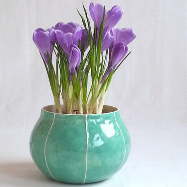 Ceramic planter. Simple modern indoor plant pot 