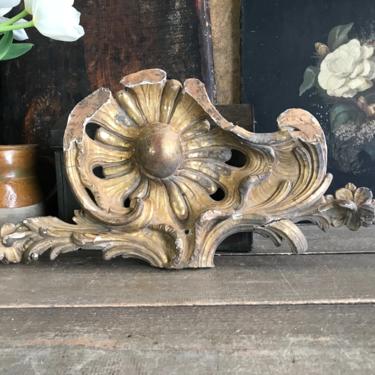 French Gesso Shell Spray Mount, Gilded, Wood Carving Remnant, Architectural, Furniture, Chateau Decor 