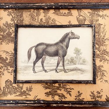 Vintage Horse Print,  Number II