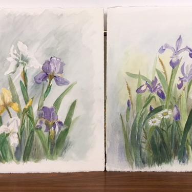 Mid Century Modern leafy Iris vertical watercolors pair by Viola Sobol unframed 