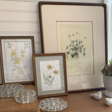 Vintage Botanical Floral Prints ~ Watercolor ~ Spring ~ Botanical ~Gallery Set 3~ Florals ~ Gallery Wall 