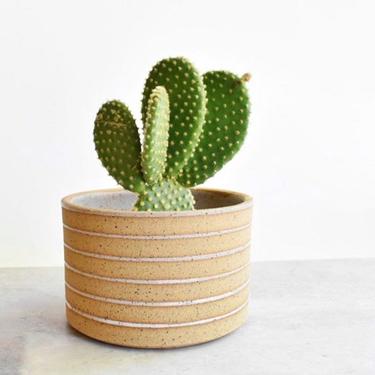 Mini Skinny Stripes Stoneware Planter Pot 