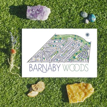 Barnaby Woods Northwest Washington DC neighborhood map art print 11x17 by WildPlacesPrints