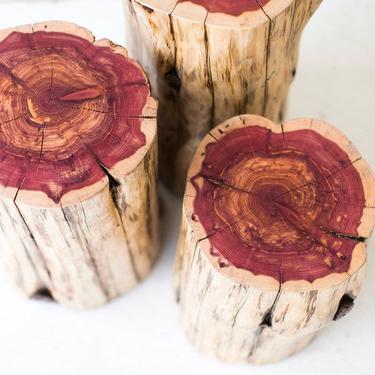 Tree Stump Table / Natural Cedar Log Table / Tree Trunk Table / Side Table / Bedside Table 