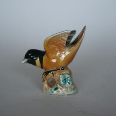 vintage oriole bird 