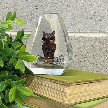 Vintage Owl Paperweight Retro 1970s Bohemian + Clear Resin + Nocturnal Brown Bird + Figurine + Heavy + Boho + Home and Bookshelf Deocr 
