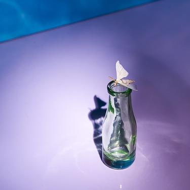 Tiny Bottle Bud Vase - Clear