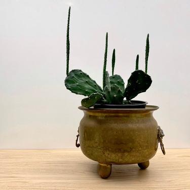 Hammered Brass Planter with Lion Head Handles, Footed and Handled Aged Brass Kettle Pot 