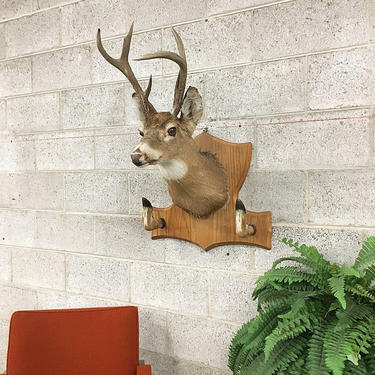 LOCAL PICKUP ONLY Vintage Deer Head Retro 1970's Wall Mounted Buck Taxidermy with 6 Point Antlers and Animal Hooves Rustic Cabin Wall Decor 
