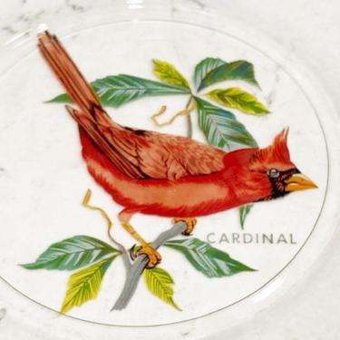Vintage American Songbirds by West Virginia Glass n Clear Lucheon Birds Glass Plates with Gold Trim Goldfinch, Blue Bird, Cardinal, by LeChalet