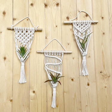AIR PLANT | Macramé Mini Wall Hanger | Houseplant Hanging Planter | Boho Modern Decor 