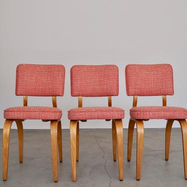 Gorgeous Set of Three Mid-century Modern Dining Chairs by Thonet Refinished &amp; Reupholstered in Designtex! 