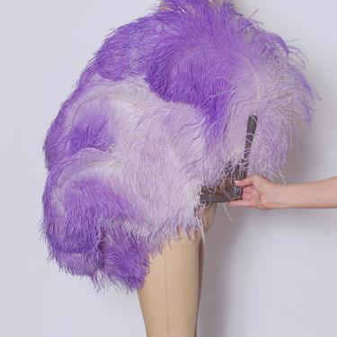 1920s feather fan / ostrich feather burlesque fan / 1920s fan / large flapper fan / celluloid handle feather fan 
