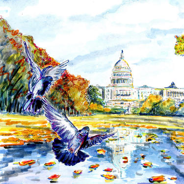 Pigeons on Capitol Hill by DC Artist Cris Clapp Logan 