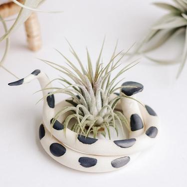 Medium Ceramic Snake With Plant