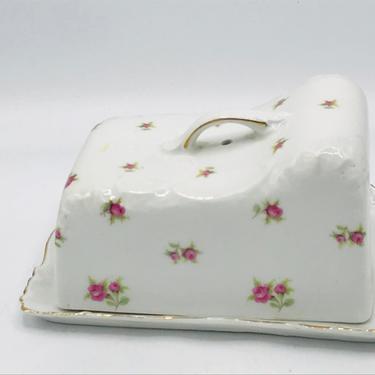Vintage Slant top Cheese or Butter dish Victorian China Czechoslovakia- Chip Free 