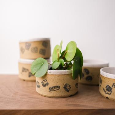 Small planter whimsical handmade pottery, Speckled ceramic, Indoor garden, Plant pots gift 