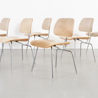 Eames for Herman Miller DCM Chairs in Brazilian Cowhide 