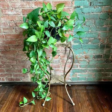 Antique brass and marble plant stand