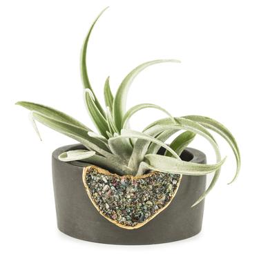 Geode Planter | Small Succulent Planter | Mini Air Plant Holder | Succulent Pot 