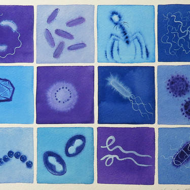 Pathogens in Purple and Blue - original watercolor painting of bacteria and viruses - microbiology art 