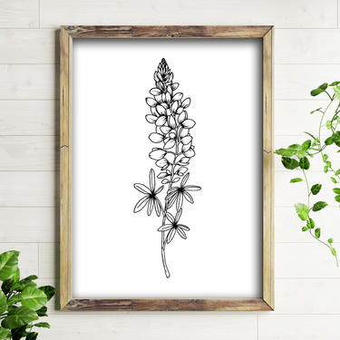 Art Print // Bluebonnet Wildflower // 5x7 + 8x10 Hand Drawn Texas State Flower Stem 